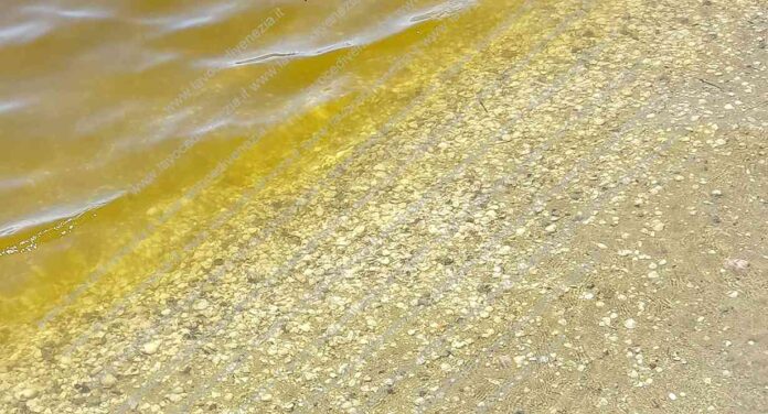 Acqua gialla a Lido di Venezia, preoccupazione di bagnanti e residenti