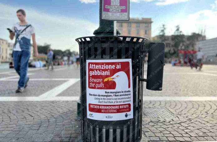 Avvisi a Venezia, attenzione ai gabbiani