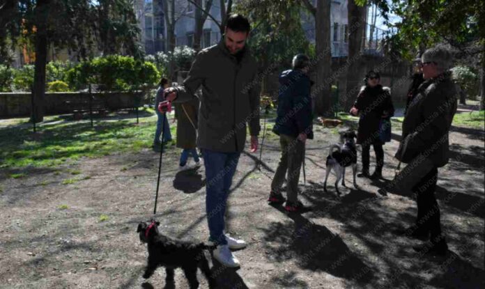 Cani e padroni soddisfatto nella nuova area attrezzata di Cannaregio (Venezia)