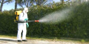 Interventi straordinari a Lido (Venezia) per impedire la diffusione del virus Dengue