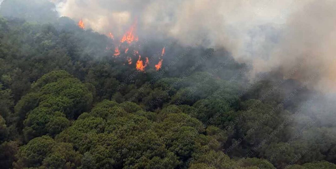 Grande incendio sul Carso Vigili fuoco