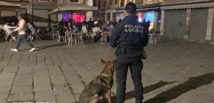Polizia locale, controlli alla movida di Venezia in Campo Bella Vienna