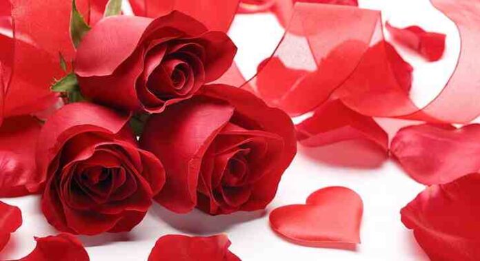 https://www.hippopx.com/it/roses-flowers-bouquet-love-nature-pink-romantic-31080