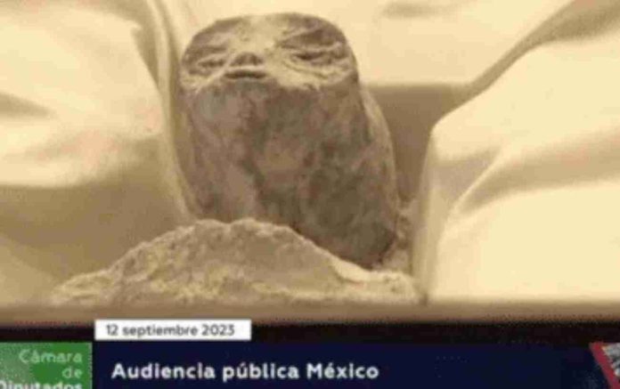 Uno dei due 'corpi non umani' del Messico