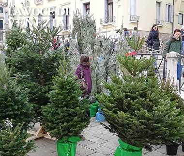 alberi natale venezia strada nuova nostra box