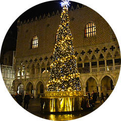 venezia dopo disgrazie vocal albero san marco