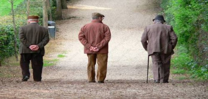 anziani camminano al parco ns 1240
