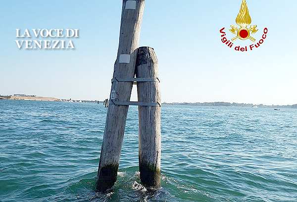 briccola colpita dal motoscafo incidente up 600400