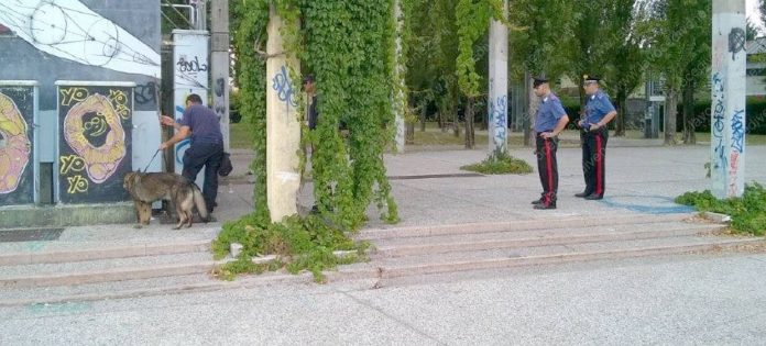 carabinieri mestre perlustrazione perquisizione ricerca droga con cane antidroga parco pubblico up 1240
