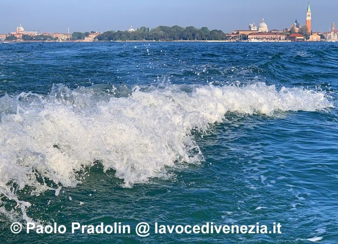 la vita dell'acqua - fotografa la tua venezia - paolo pradolin 1080