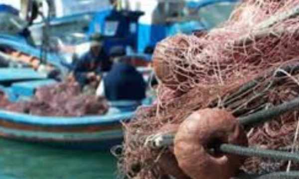 Coldiretti, stop a pesce fresco in tutto Adriatico. Aumenta rischio di trovarsi prodotto straniero o congelato