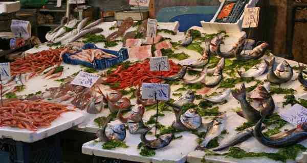 Pfas: vietato il pesce in 21 comuni del Veneto