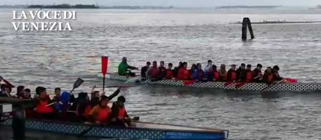 Regata degli studenti Avis oggi a San Giuliano, festa dello sport e della solidarietà