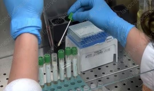 tamponi laboratorio provette coronavirus up 540