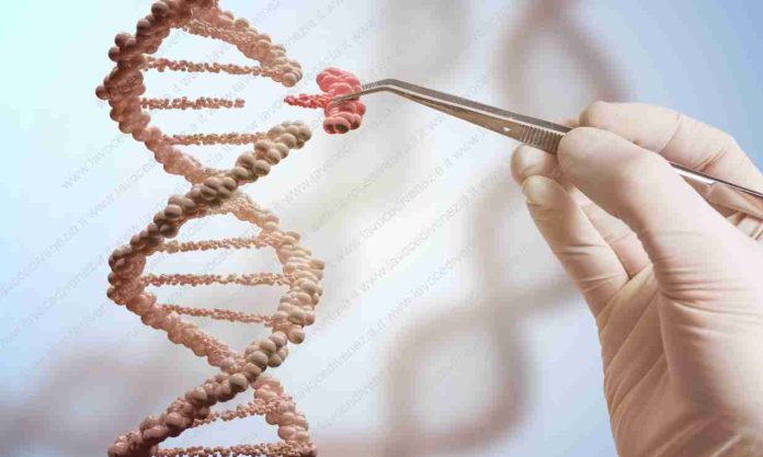 Speranze di cura per le malattie genetiche rare