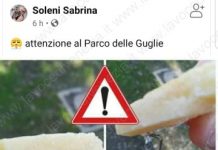trappole per cani al parco delle guglie ns box