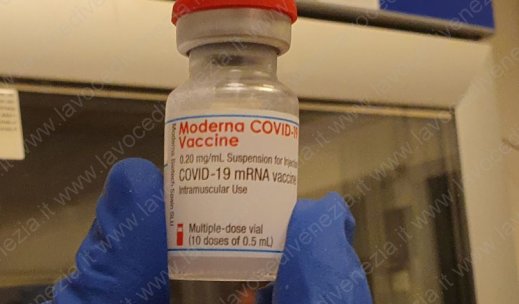 vaccino moderna - no pfizer - up 520