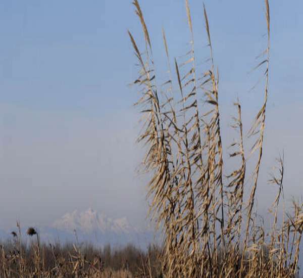 linea verde raiuno vallevecchia caorle venezia