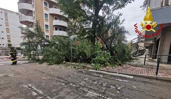 crollo albero mestre vigili via felisatti