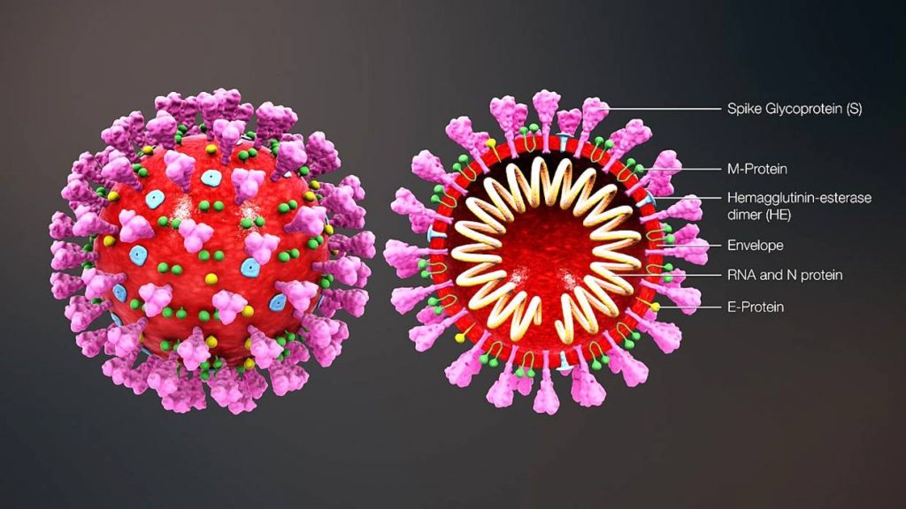 virus covid sars cov 2